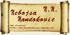 Nebojša Mandoković vizit kartica